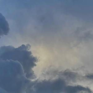 美女放尿着衣失禁
