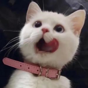 美女放尿着衣失禁
